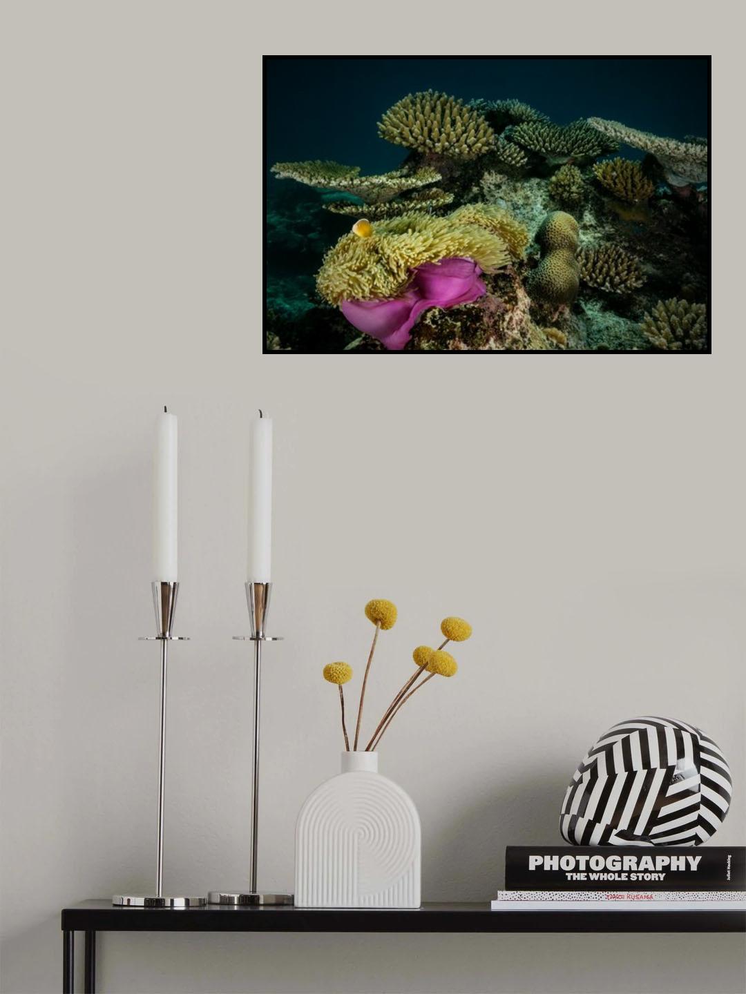 The Reef Poster och Canvastavla