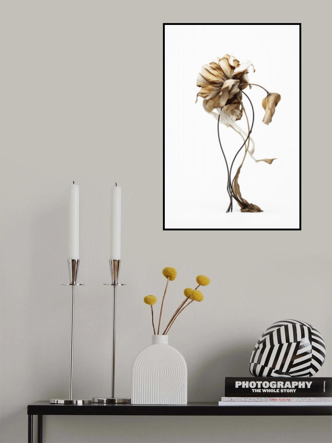 Curvy Elegance Poster och Canvastavla