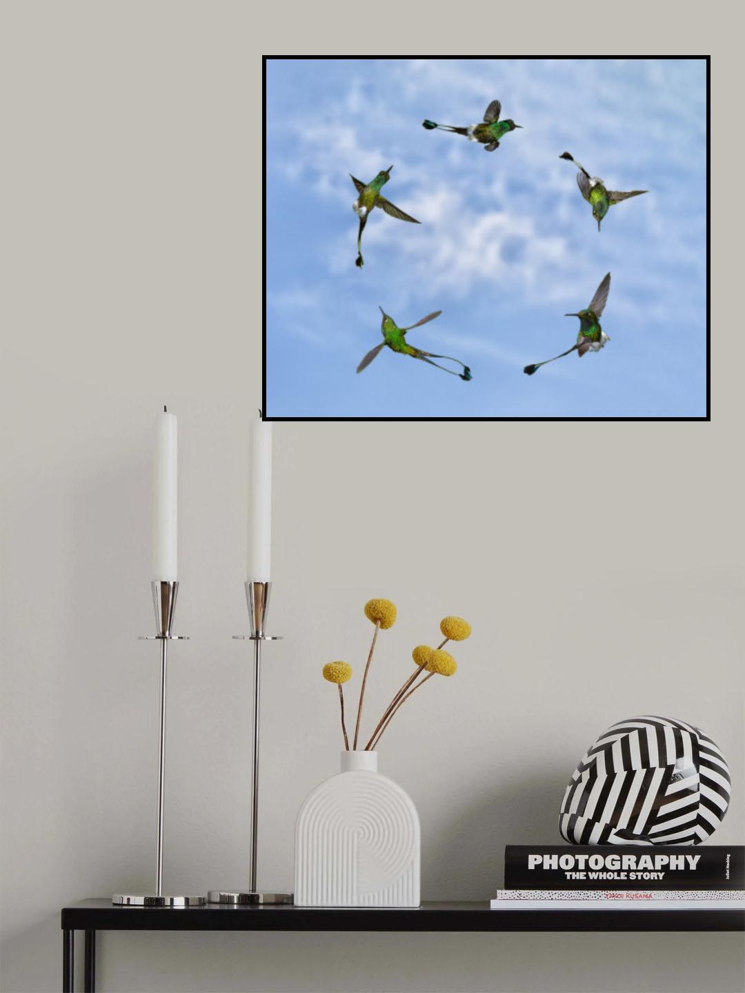 Joy of Flight Poster och Canvastavla