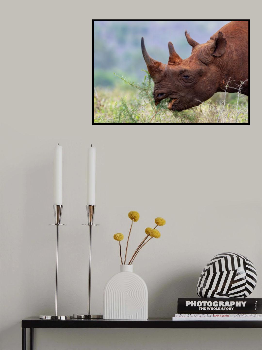 The Beak of the Black Poster och Canvastavla