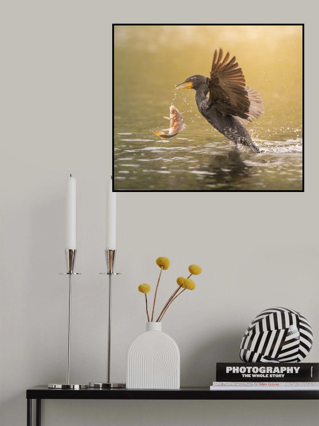 Oooops! Poster och Canvastavla