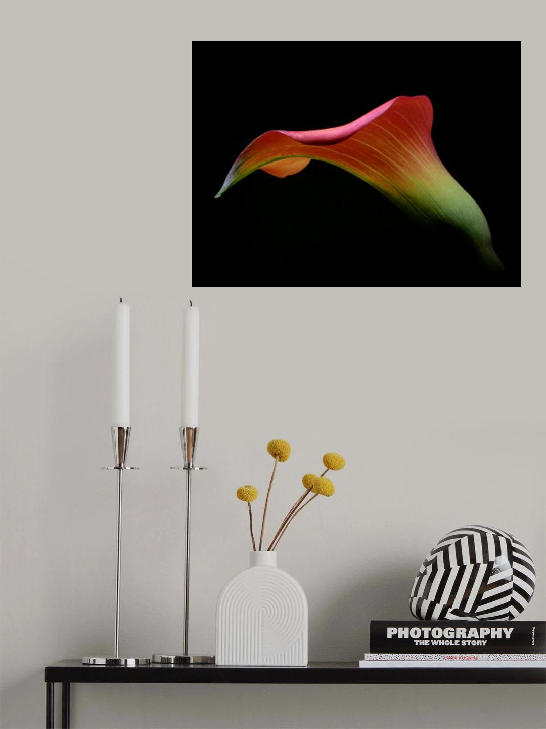 Floating ... Poster och Canvastavla