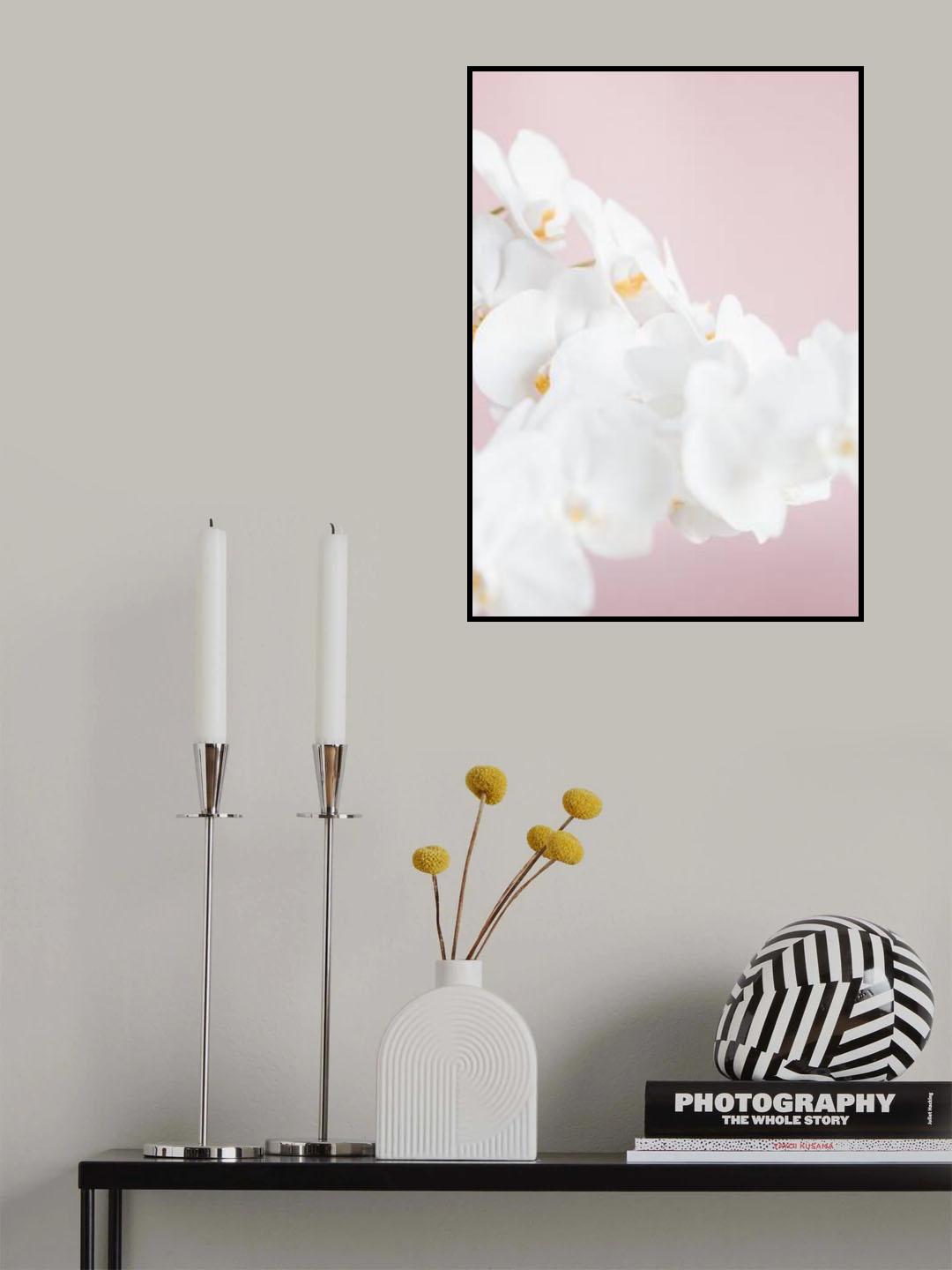 Orchid_1 Poster och Canvastavla