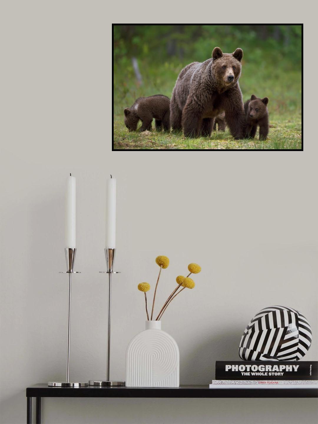 The family of the wood Poster och Canvastavla