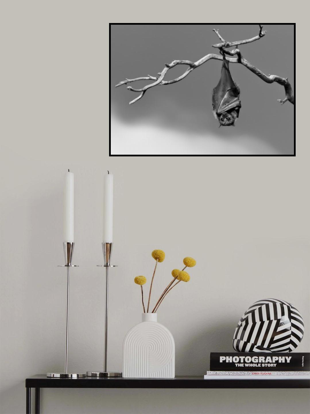 Sleepless Poster och Canvastavla