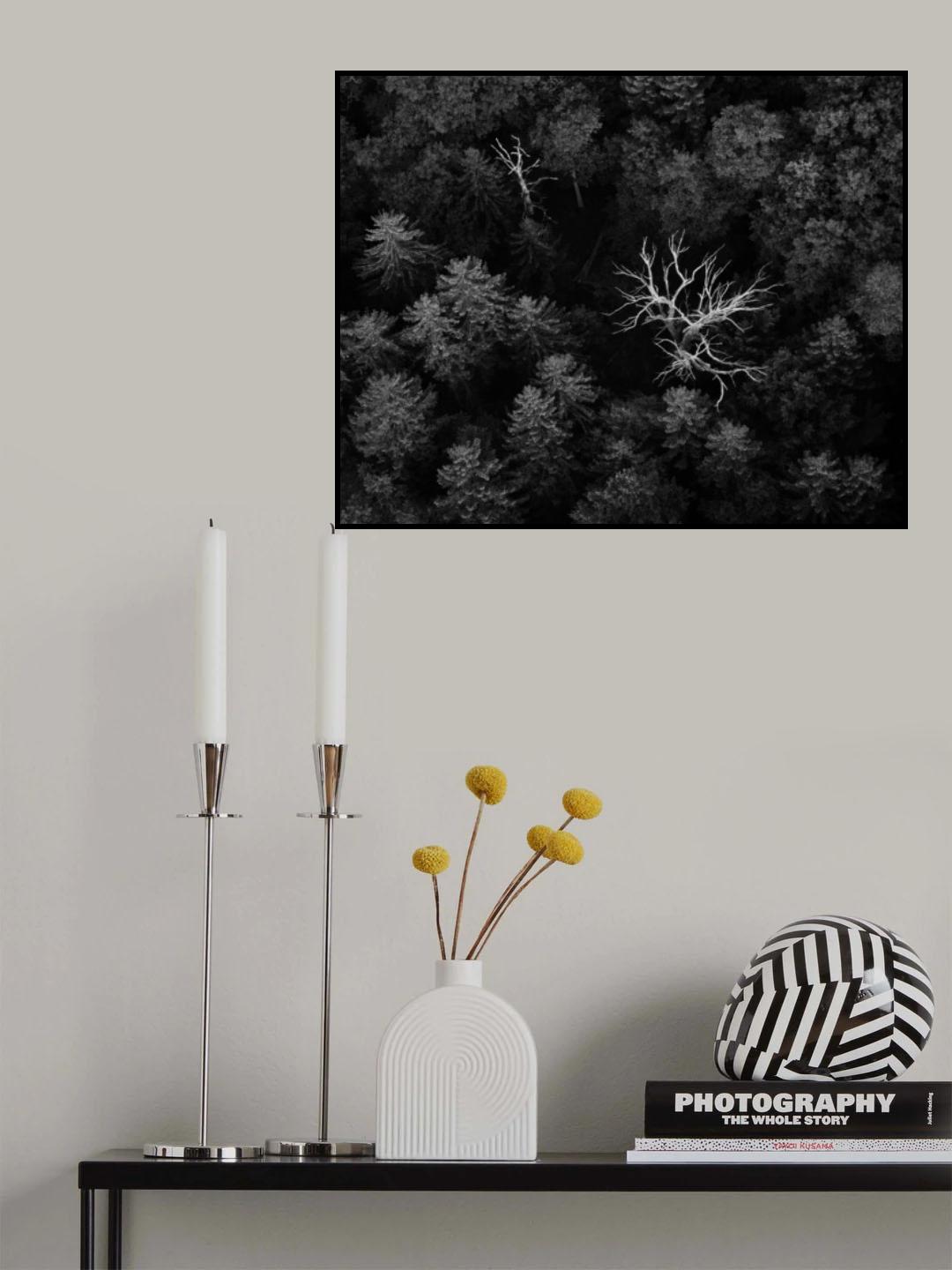 dead trees Poster och Canvastavla