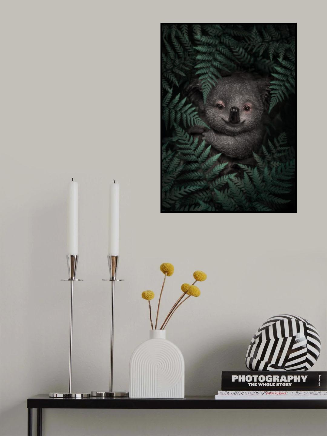 Cute Baby Koala Poster och Canvastavla