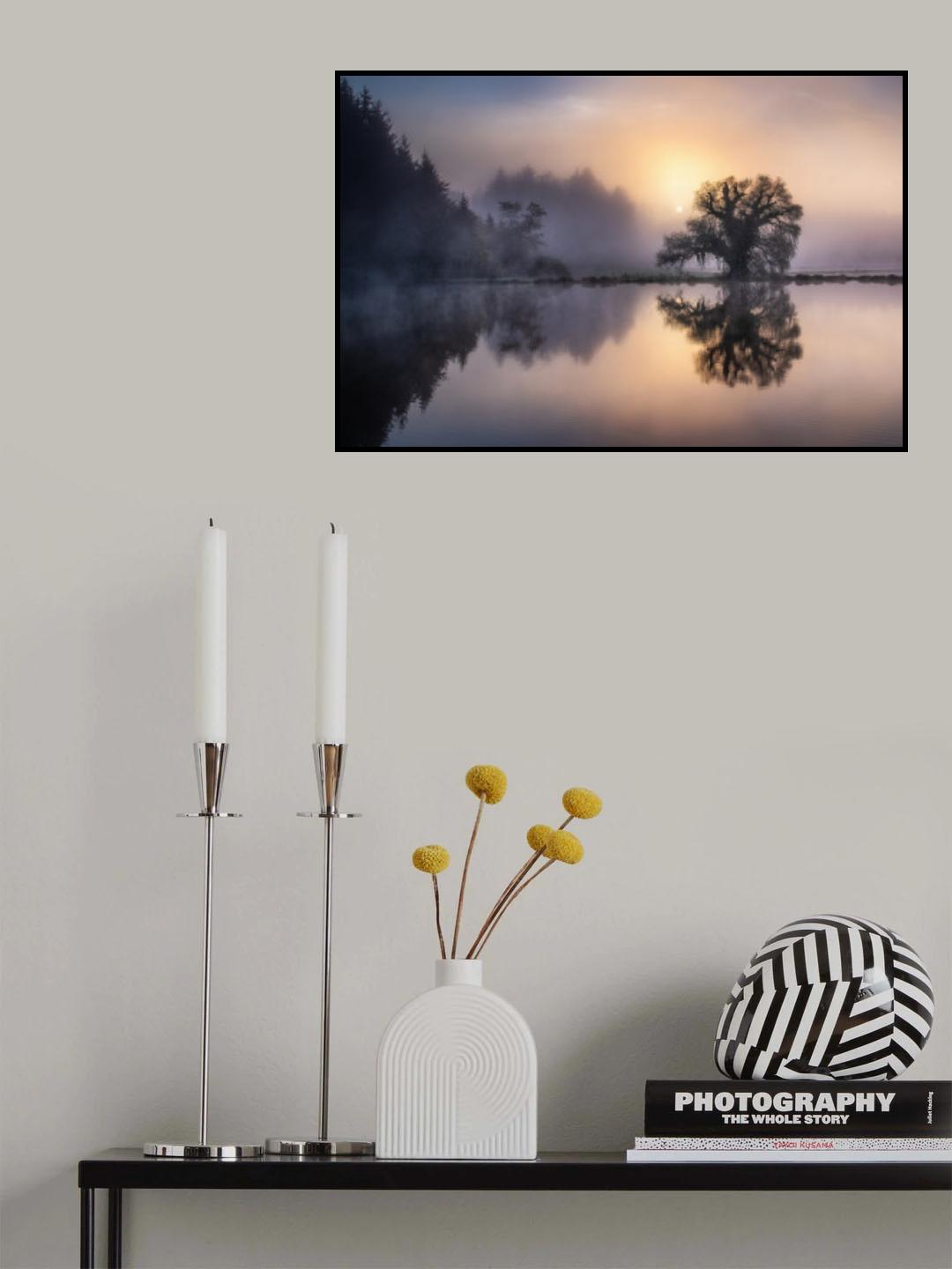 The old willow in the morning light Poster och Canvastavla
