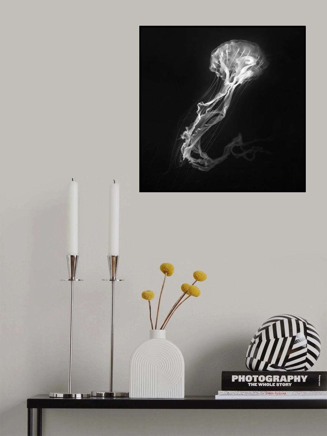 Jelly Fish Dance Poster och Canvastavla
