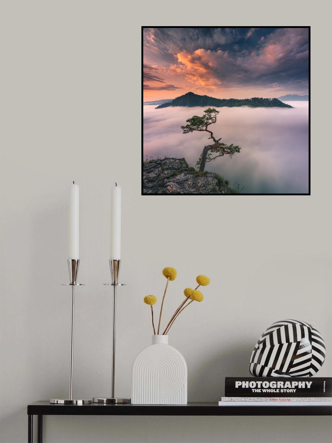Bonsai VI Poster och Canvastavla