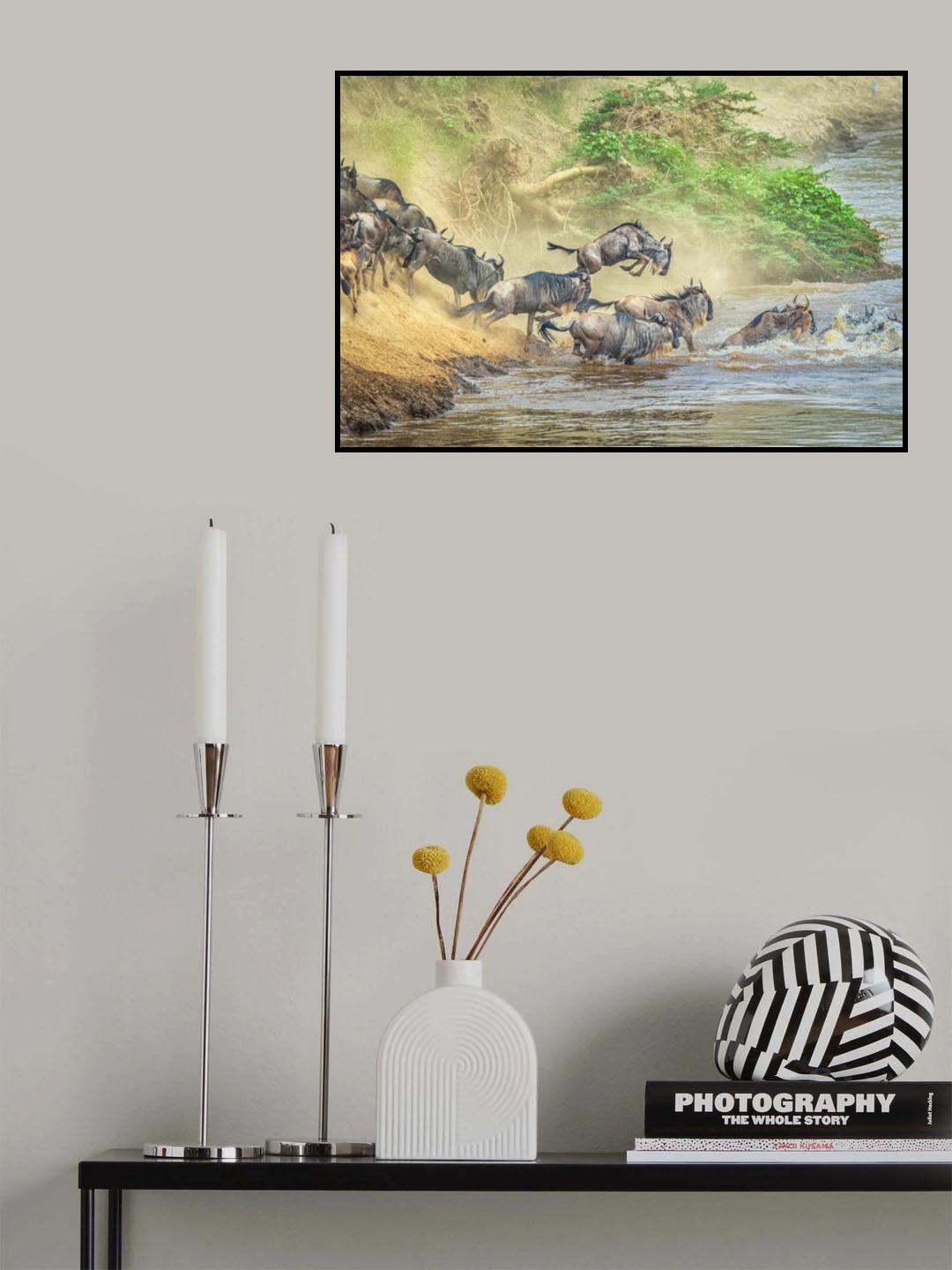 The leap for life Poster och Canvastavla