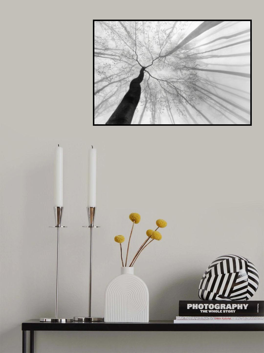 After winter sleep Poster och Canvastavla