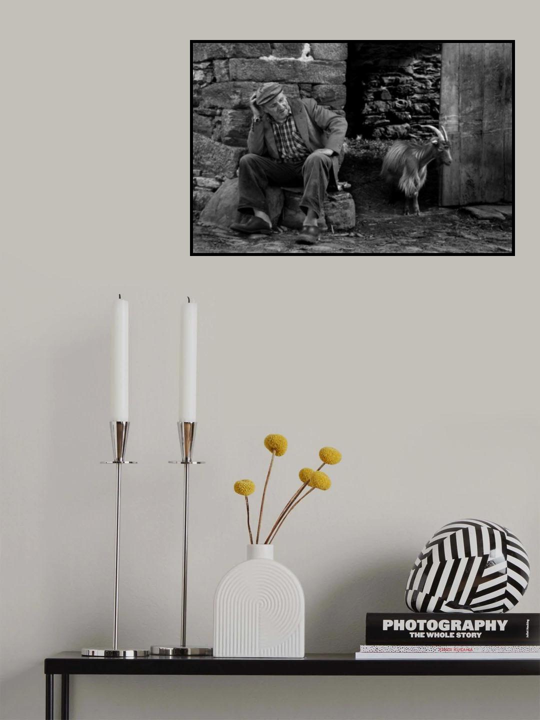 The Living Past Poster och Canvastavla