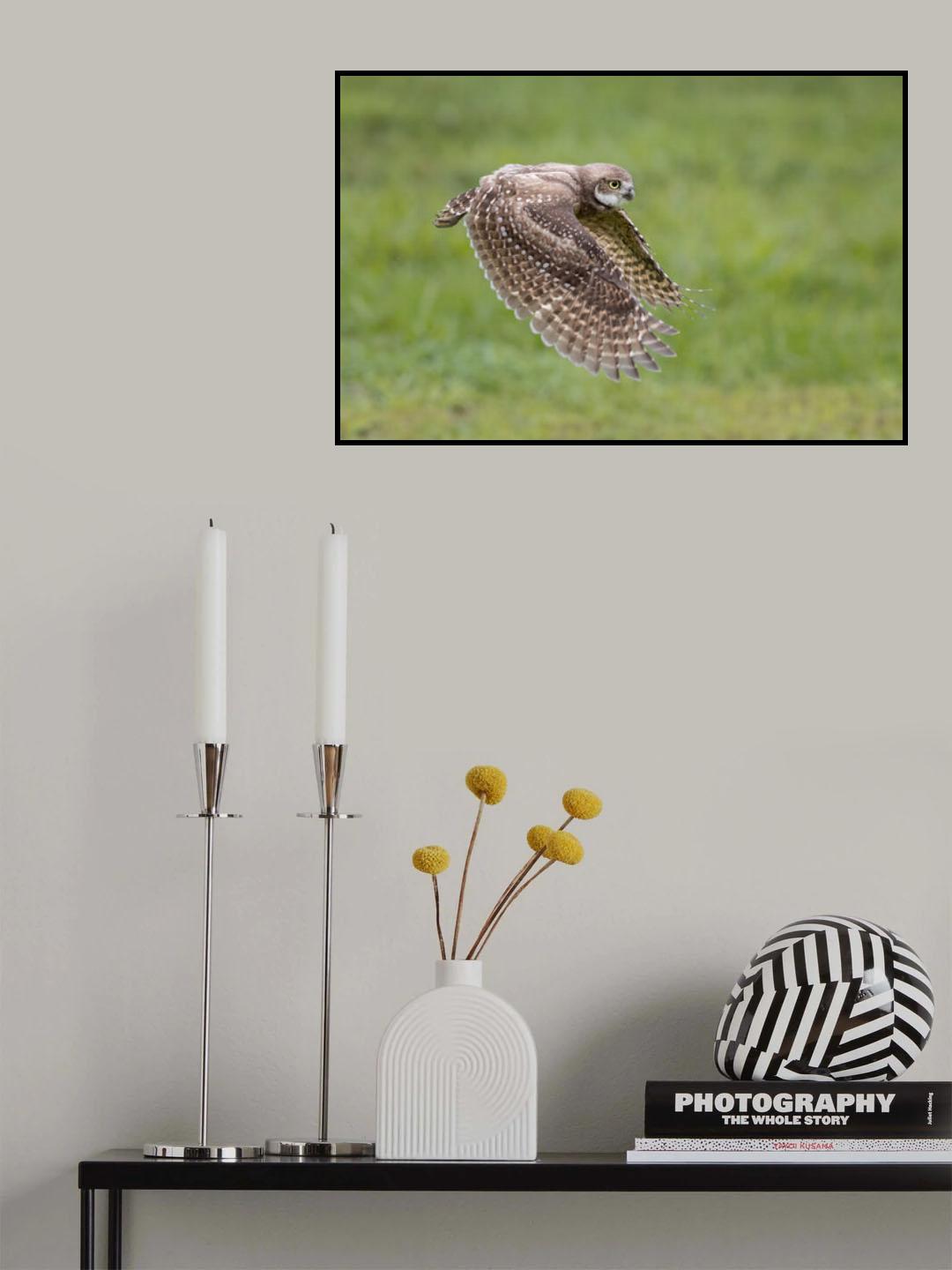 On the hunt Poster och Canvastavla