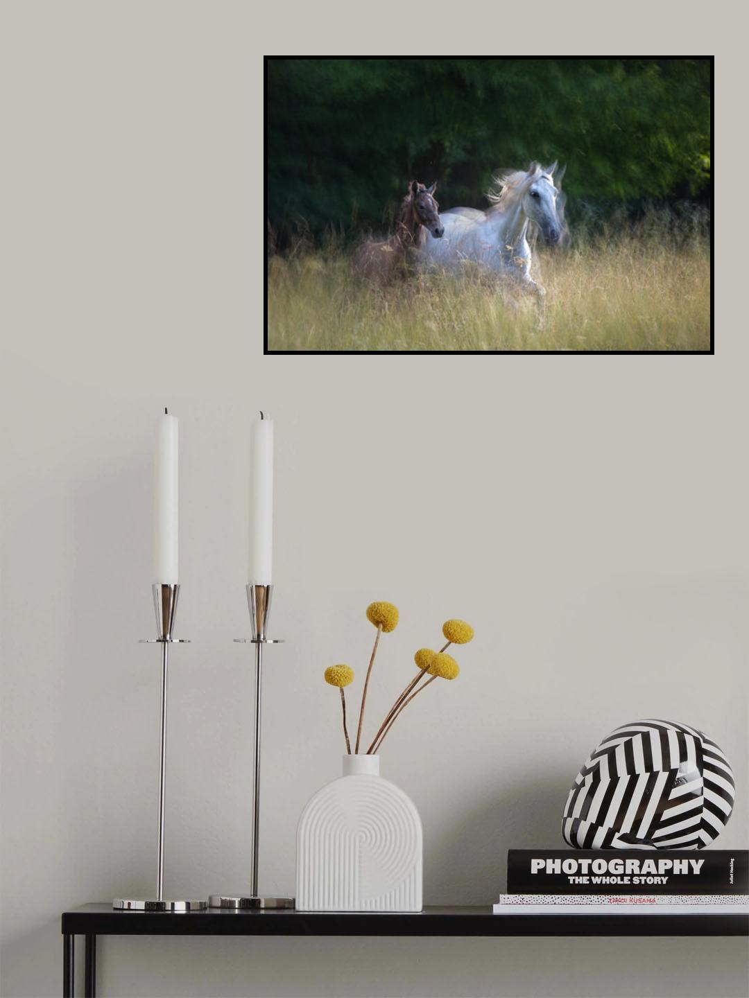 Mare and fily Poster och Canvastavla
