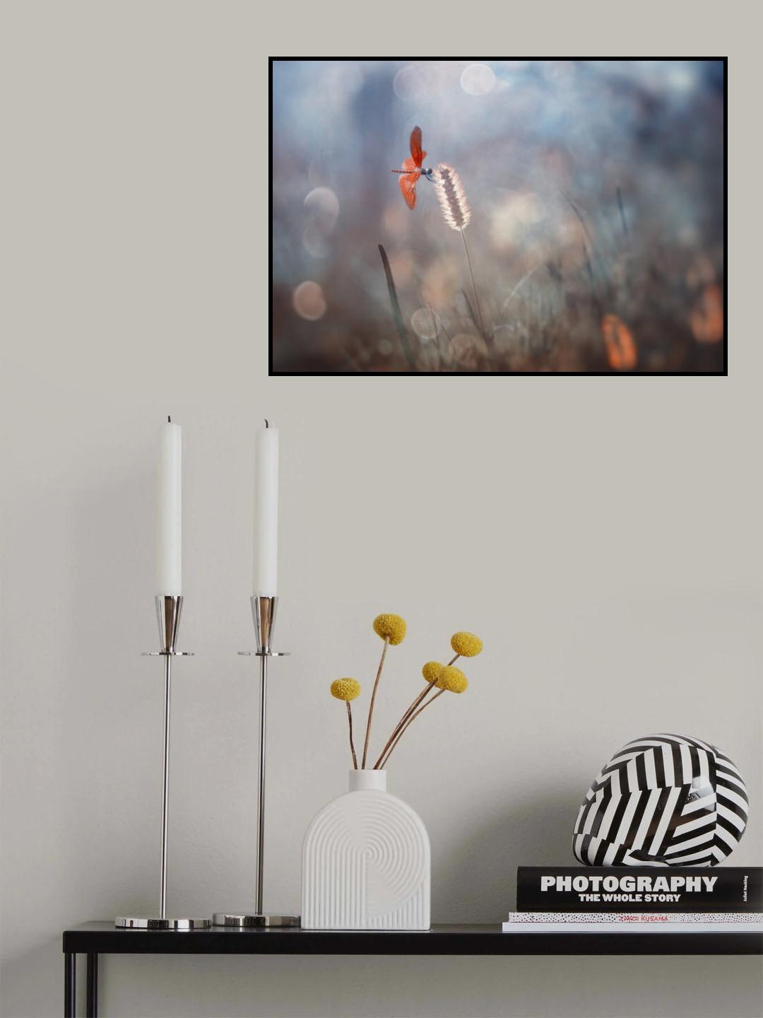 DF Poster och Canvastavla