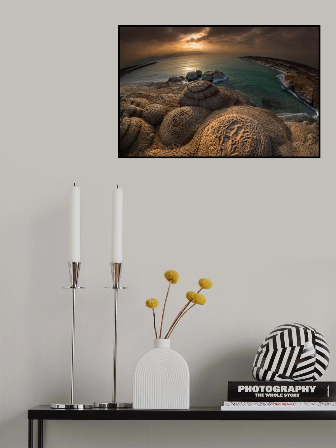salty rocks Poster och Canvastavla
