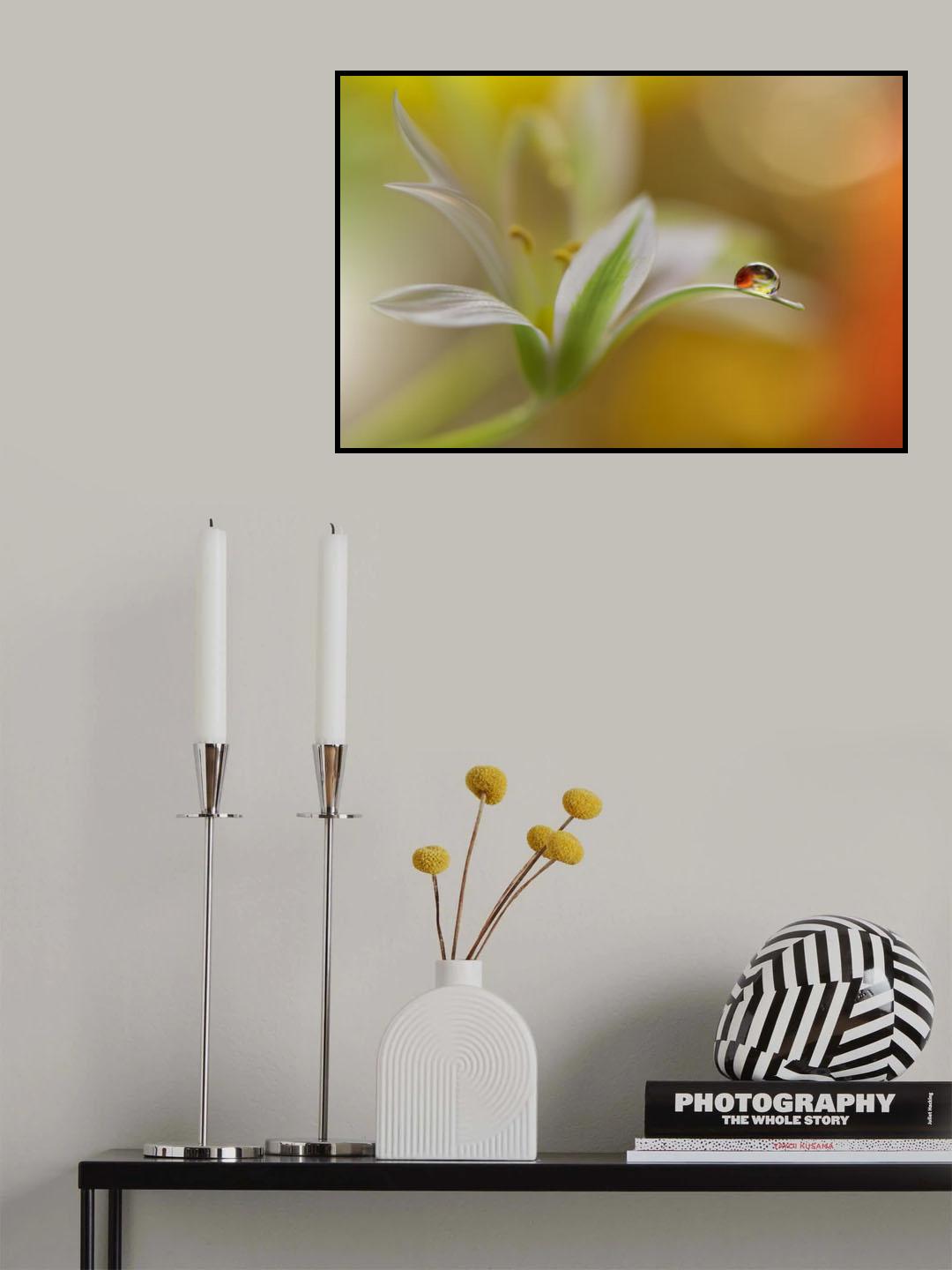 Sound Of Colors... Poster och Canvastavla