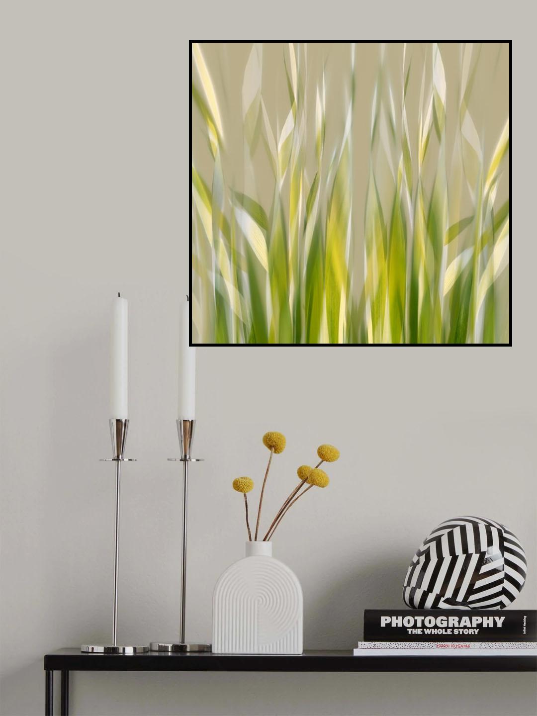 Dancing reed Poster och Canvastavla
