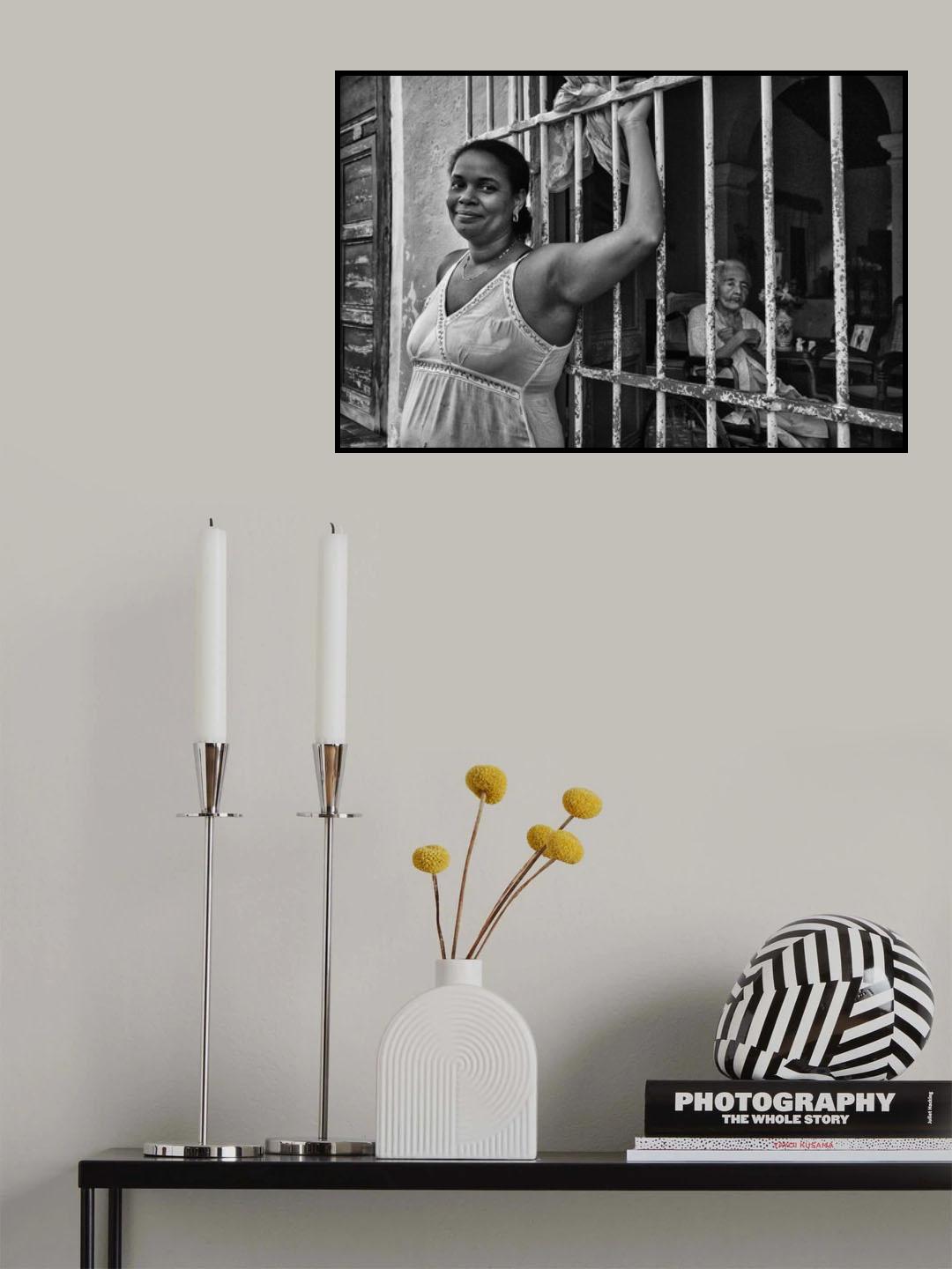 s/t Poster och Canvastavla