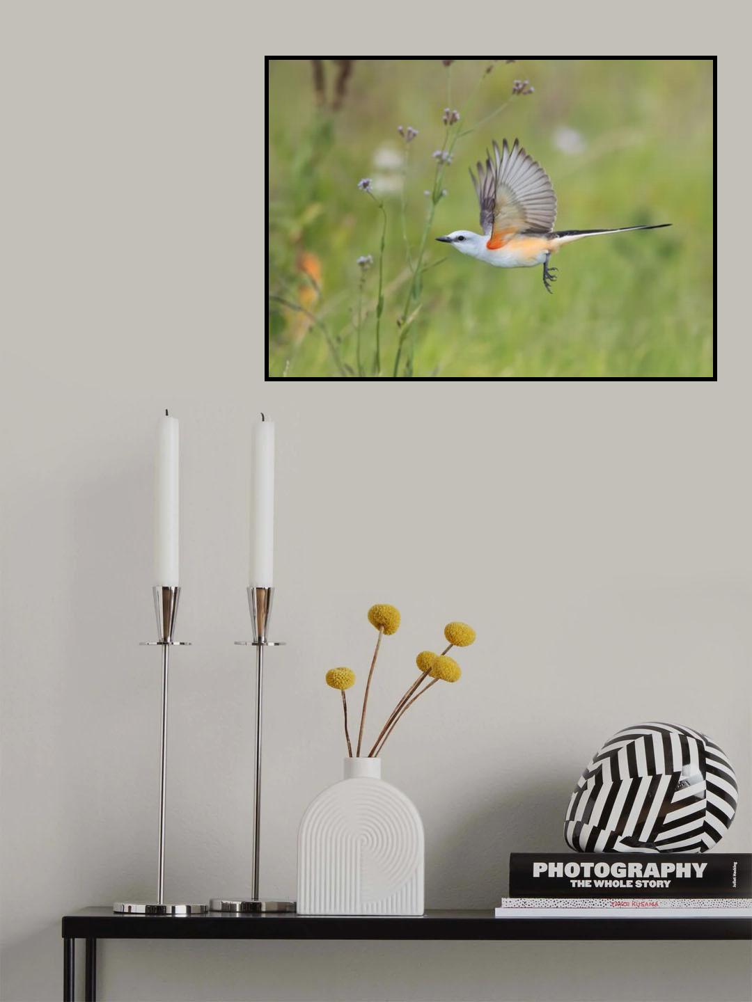 The Bright Spot Poster och Canvastavla