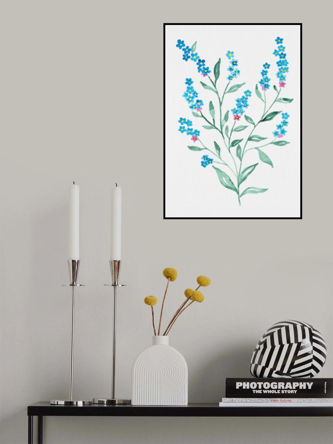 Wood forget-me-not or Myosotis sylvatica botanical painting Poster och Canvastavla