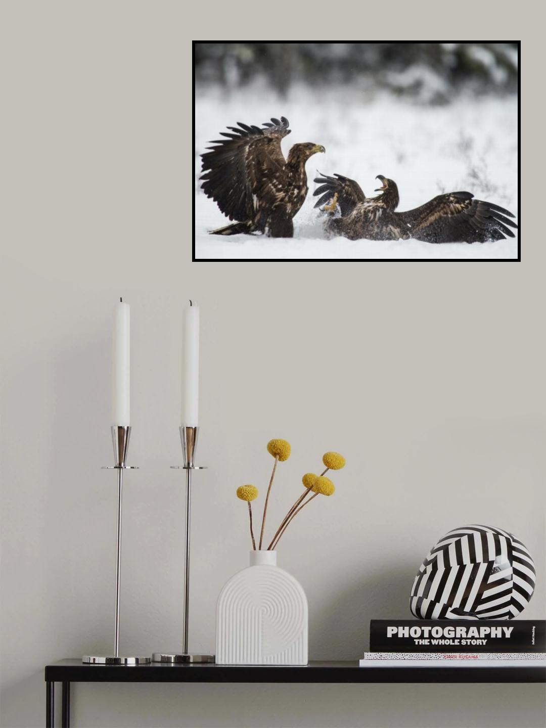 Ready to fight Poster och Canvastavla