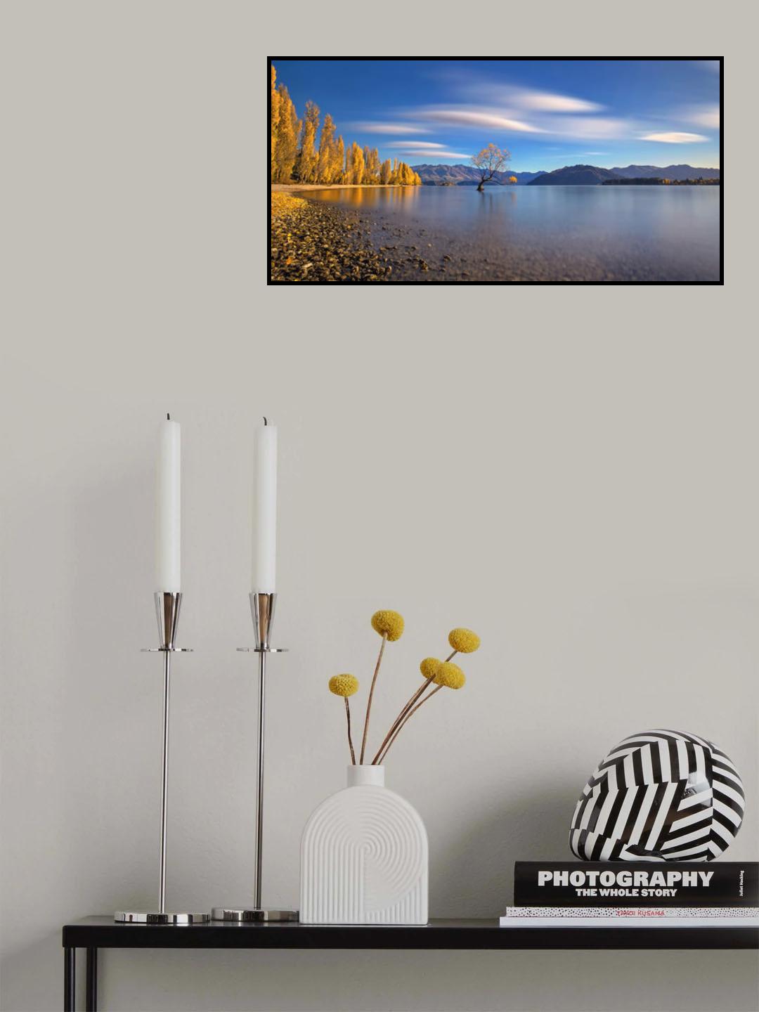 Autumn in Lake Wanaka Poster och Canvastavla