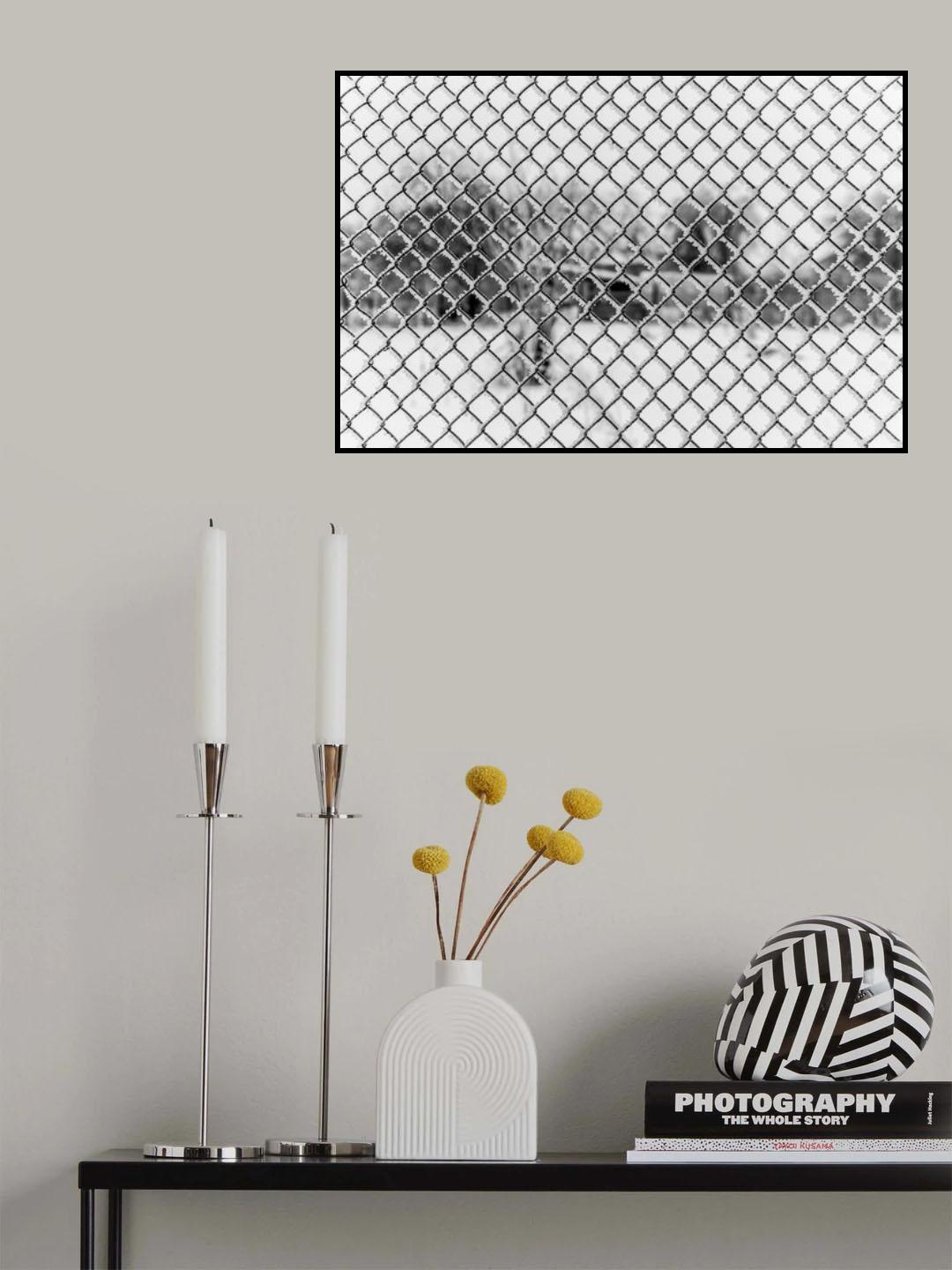 -20°C in a frame Poster och Canvastavla