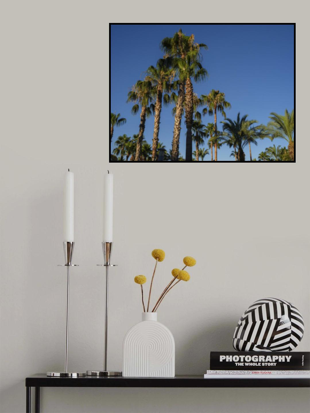 palm trees Poster och Canvastavla