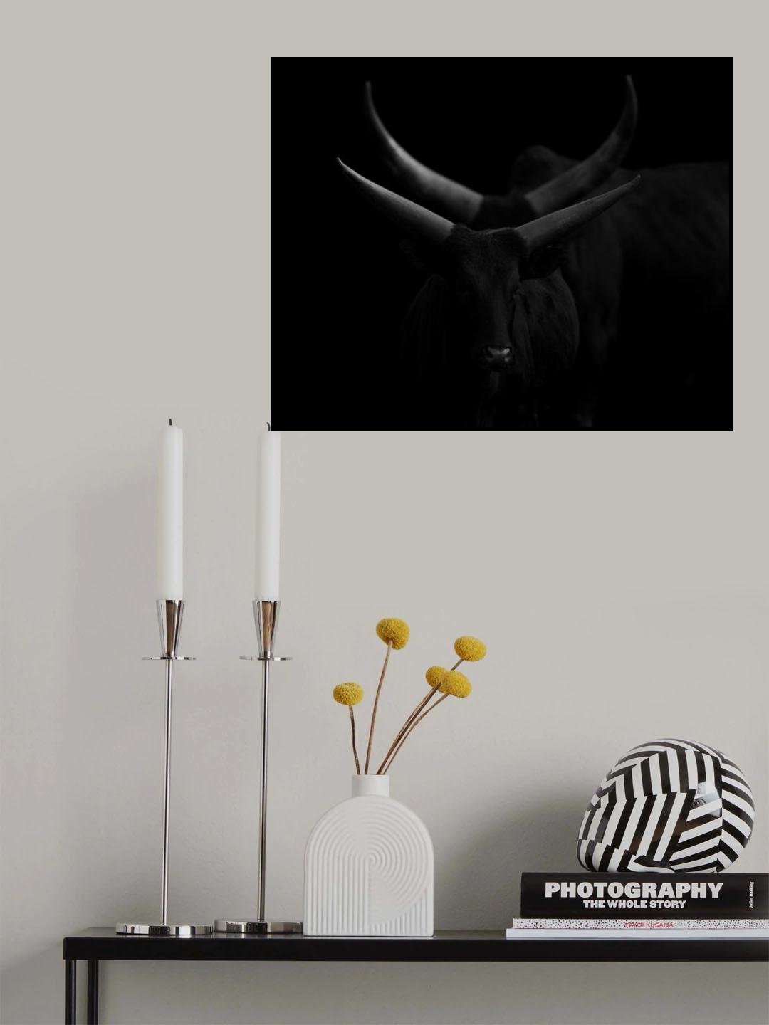Real lines dreaming with curves Poster och Canvastavla