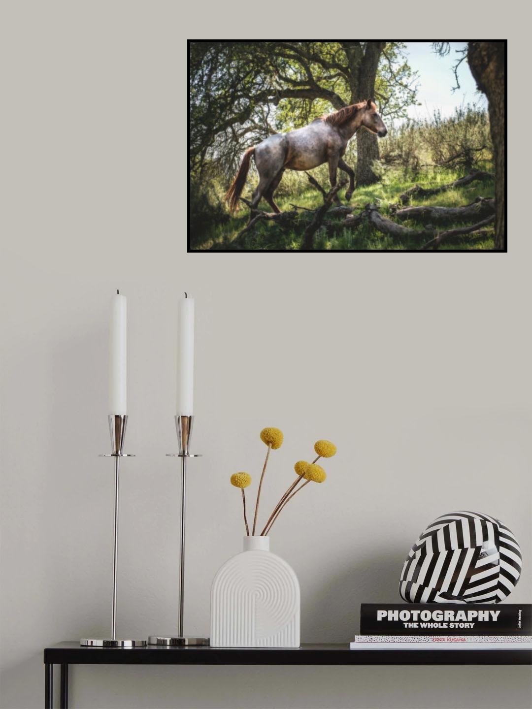 Hillside Horse Poster och Canvastavla