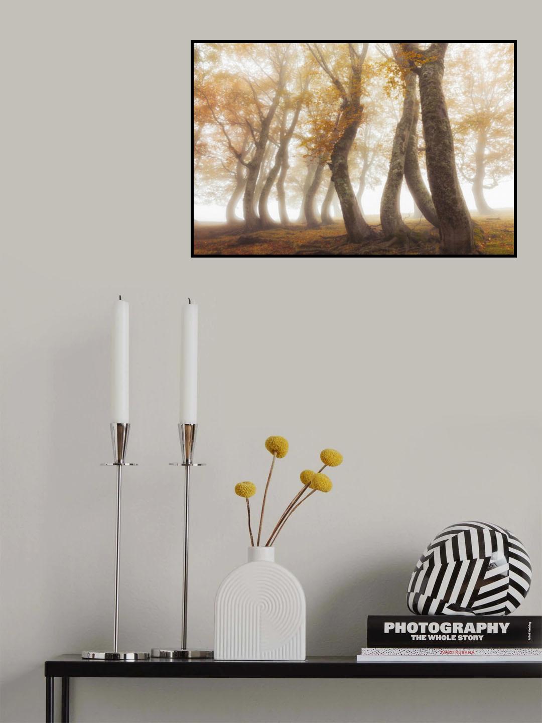 Between mist and light Poster och Canvastavla