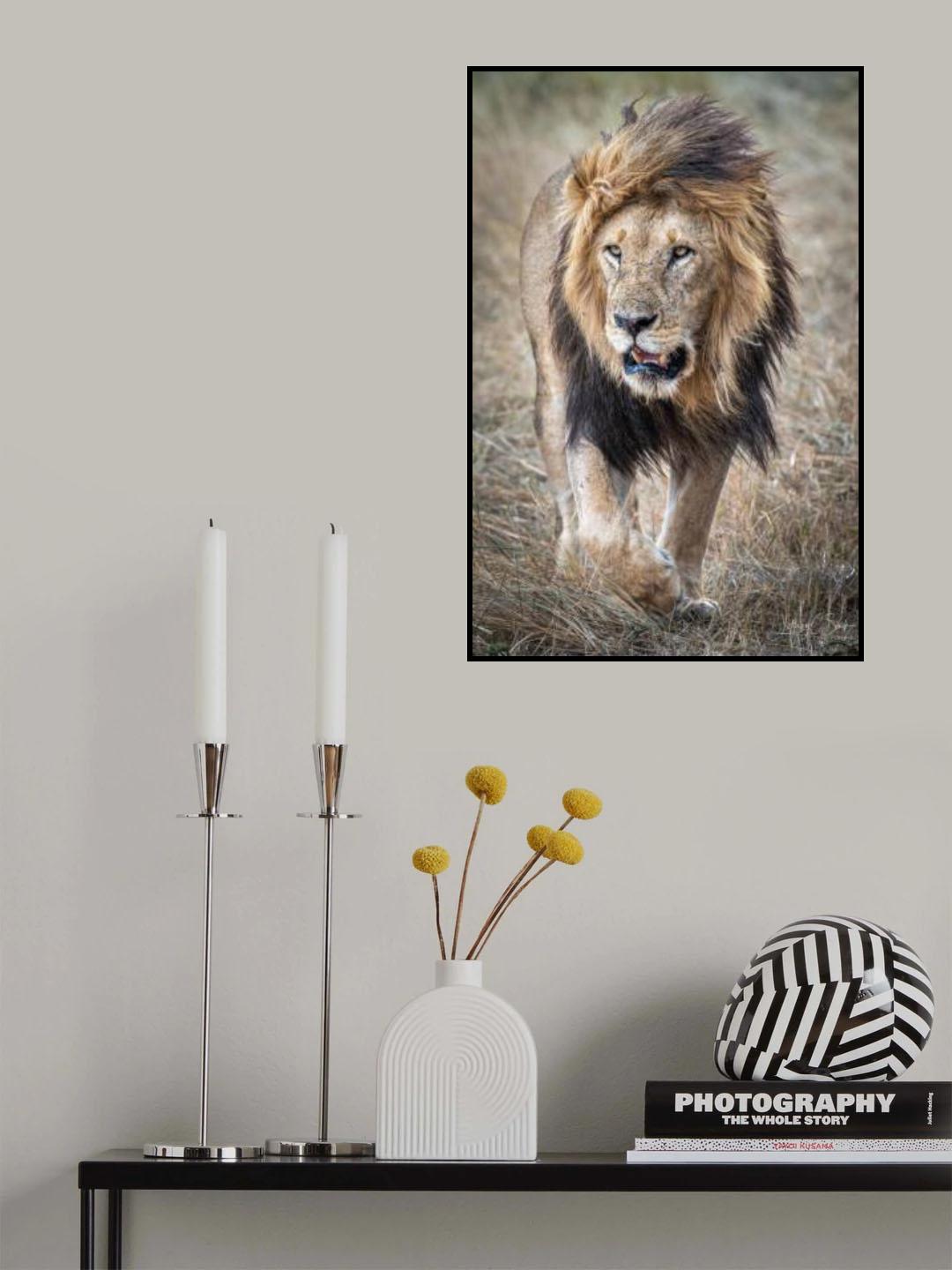 His majesty....on a rainy day. Poster och Canvastavla