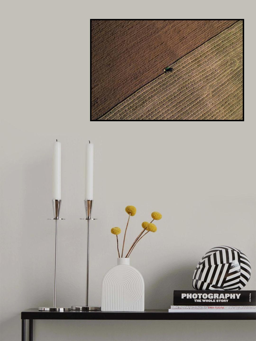 harvest Poster och Canvastavla