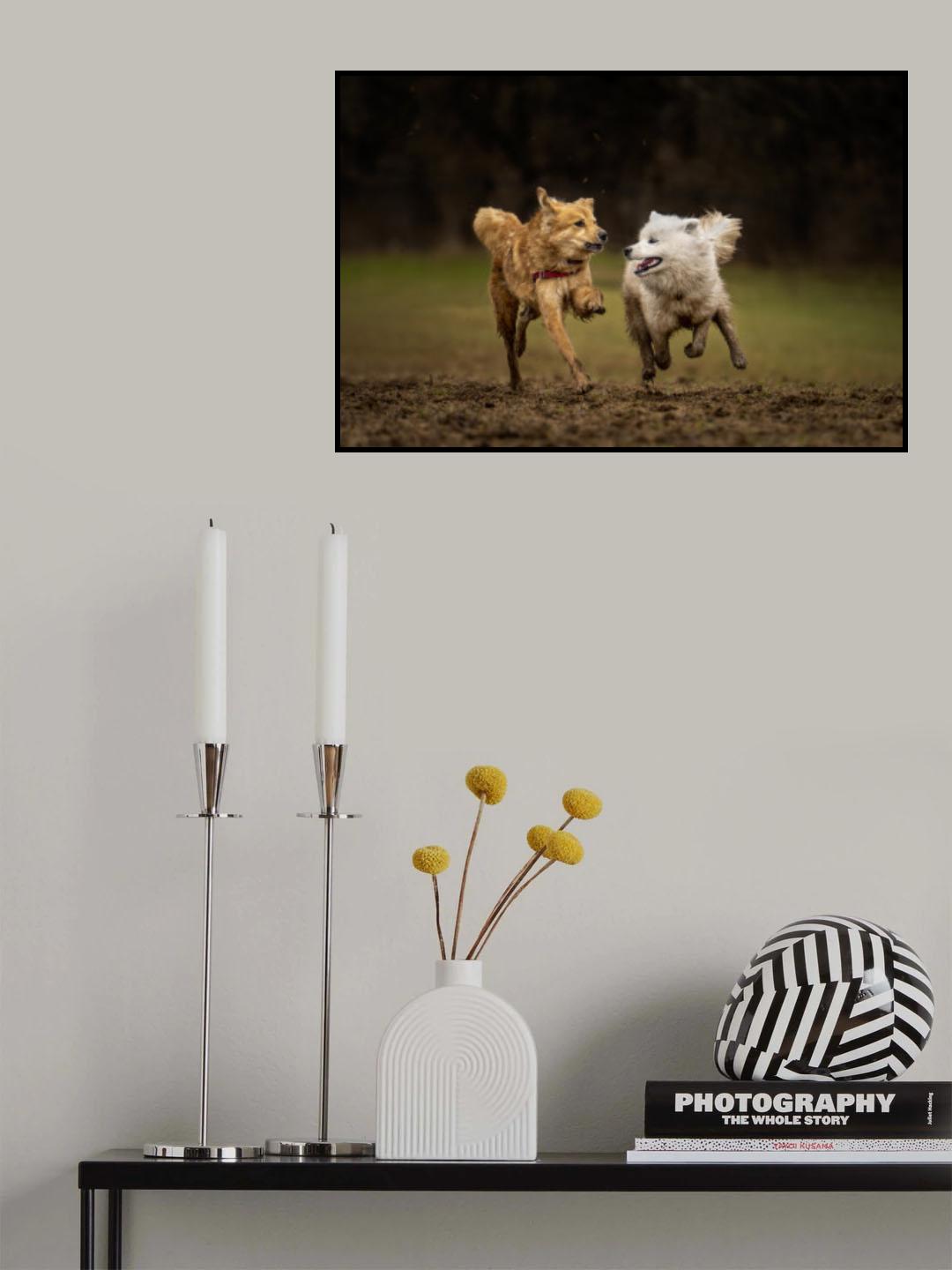 Best Friends Poster och Canvastavla