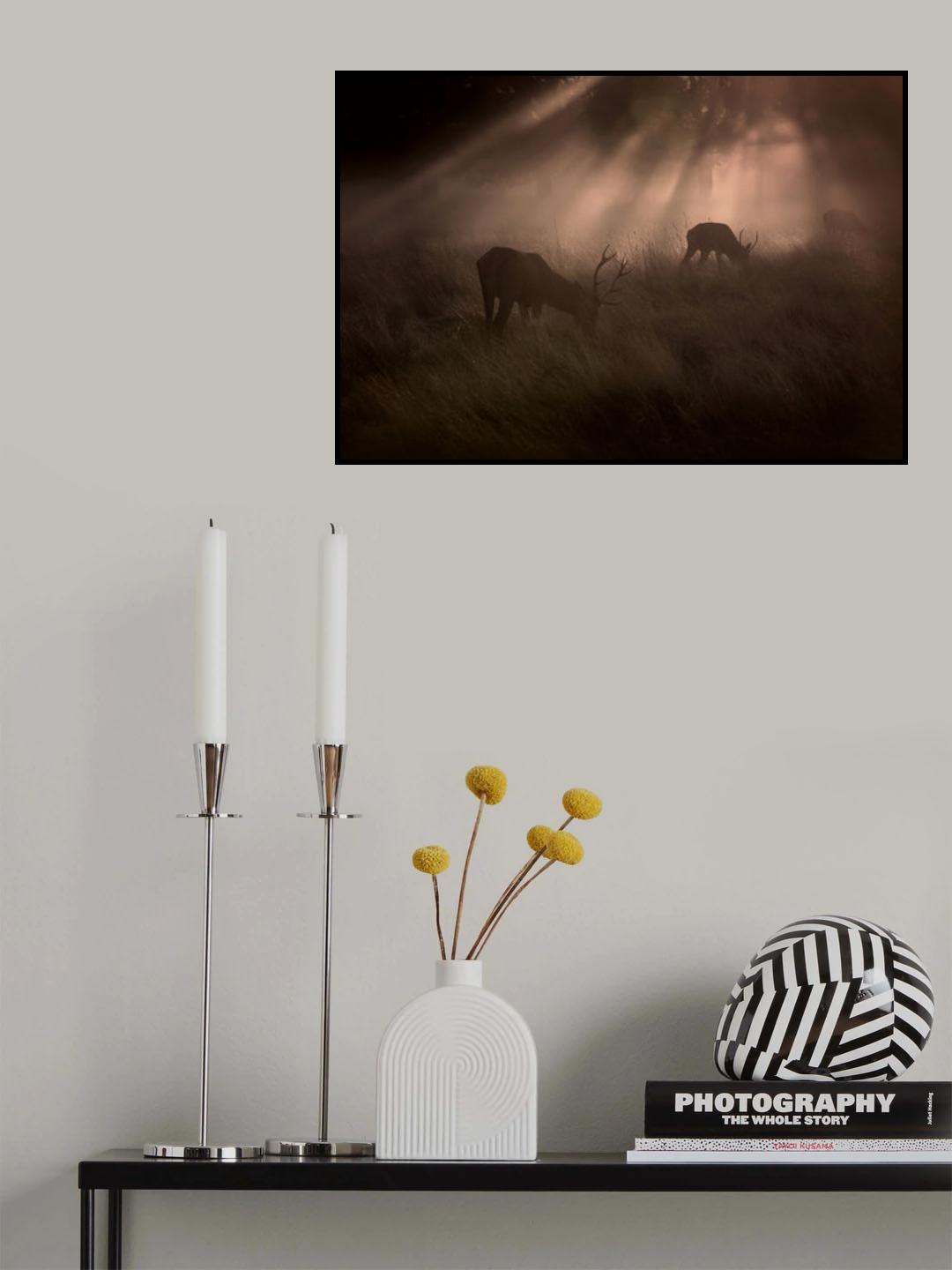 Morning... Poster och Canvastavla
