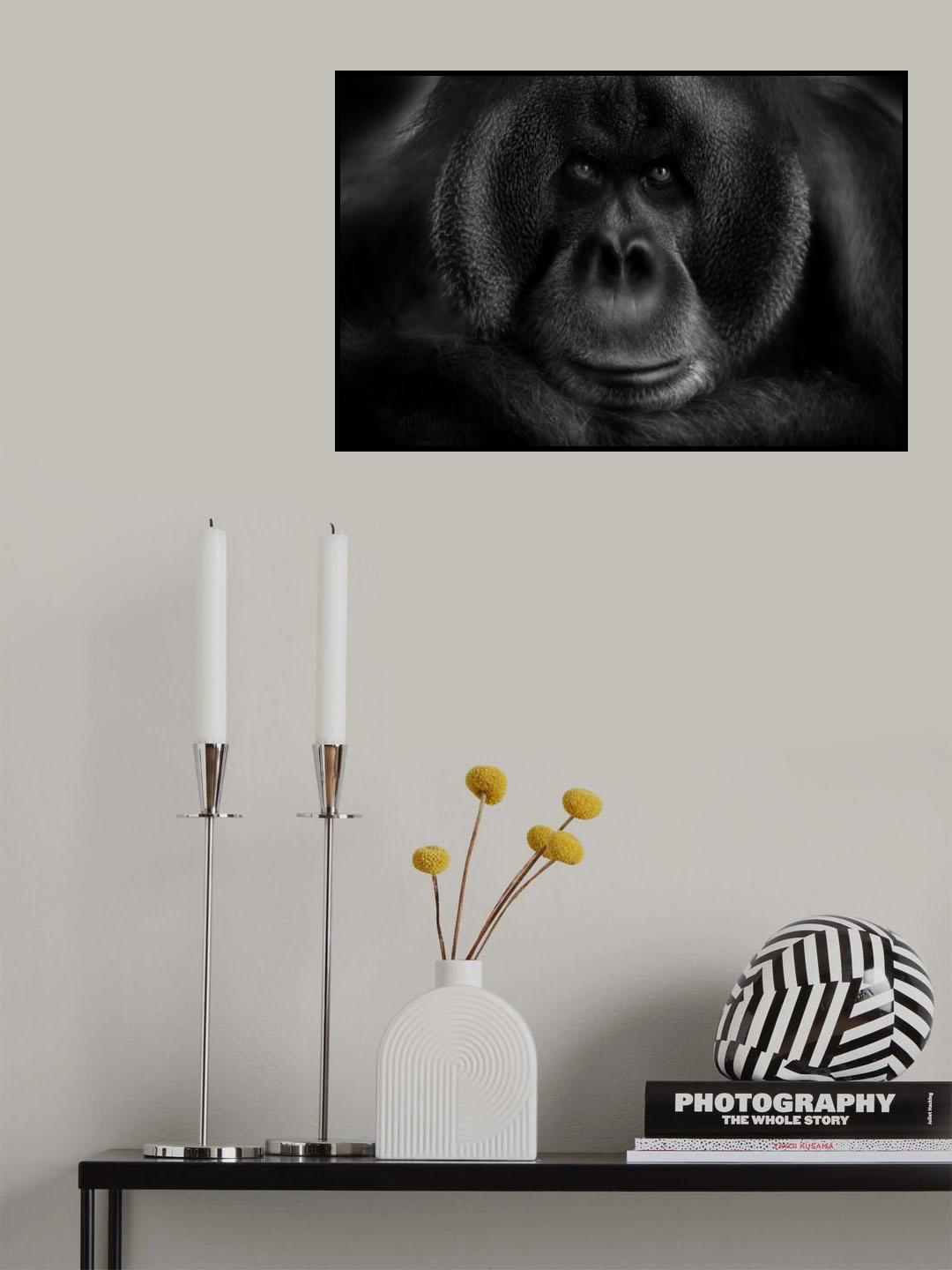 Maurice Poster och Canvastavla