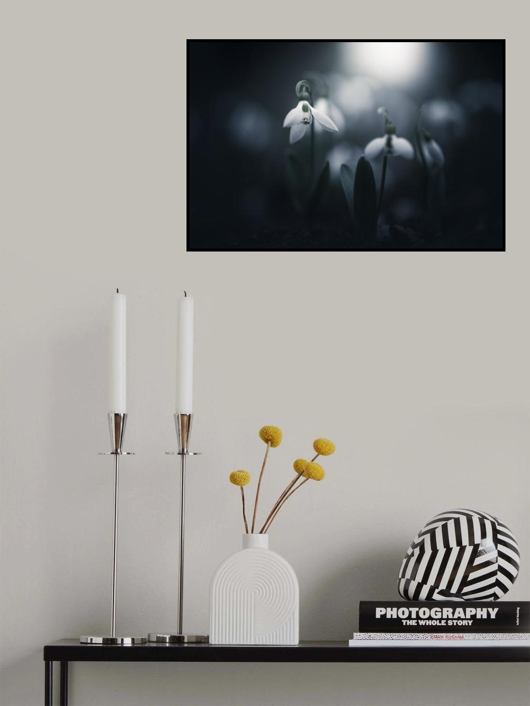Faint light Poster och Canvastavla