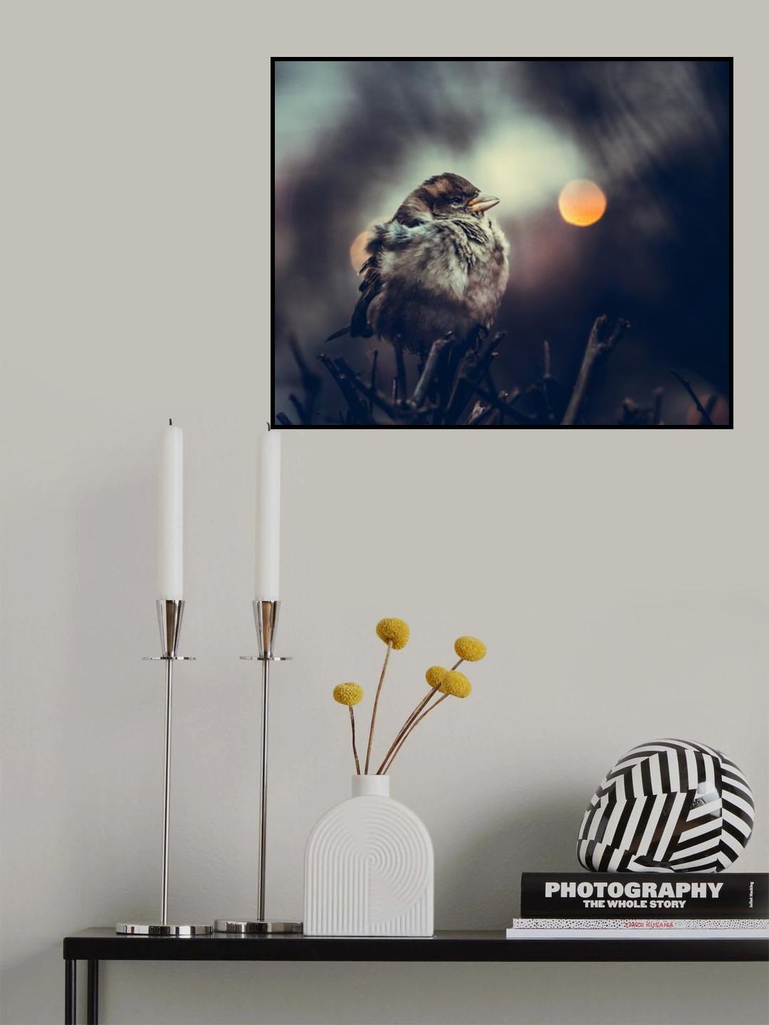 Moon sparrow Poster och Canvastavla