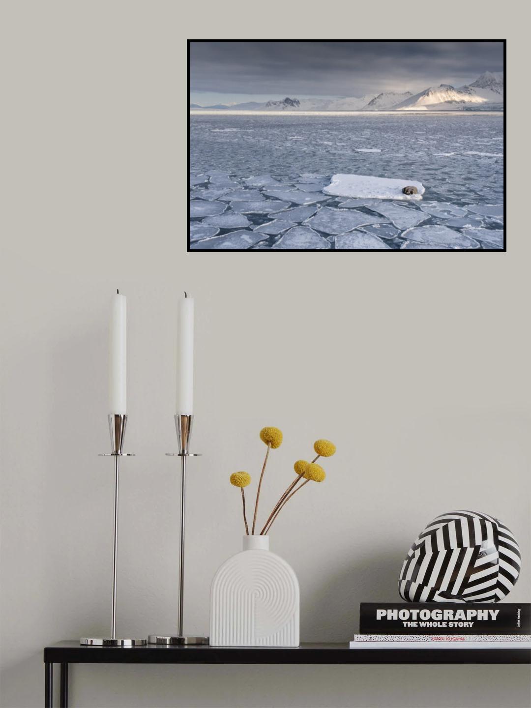 Sleeping Poster och Canvastavla