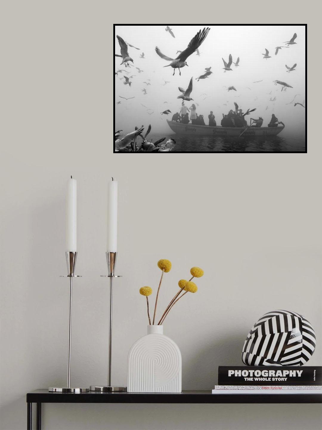 World of birds Poster och Canvastavla