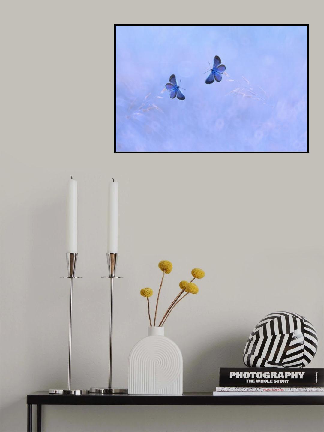 Two Butterflies Poster och Canvastavla