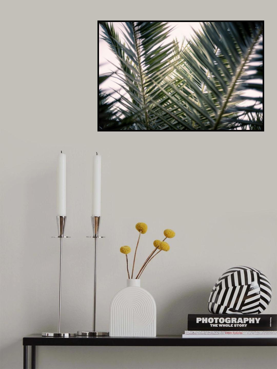 Palm Branches Poster och Canvastavla