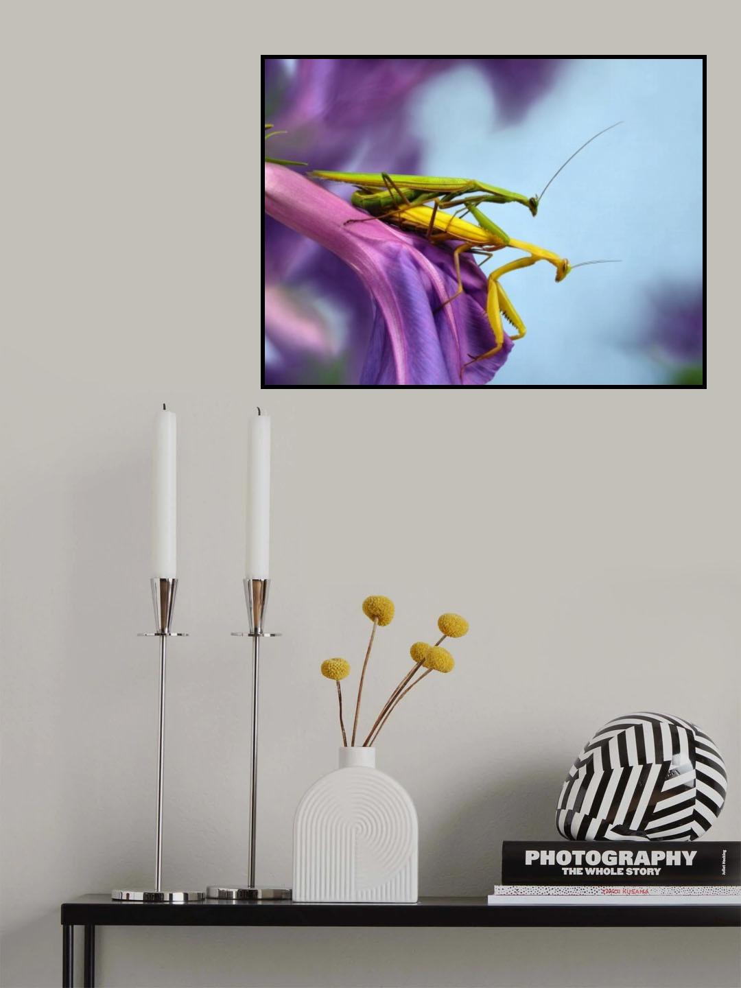 The mating Poster och Canvastavla