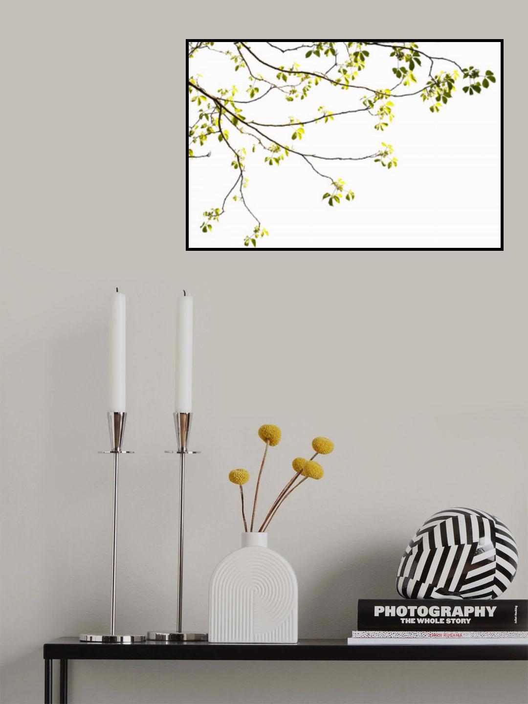 Green Tree Foliage Photo I Poster och Canvastavla