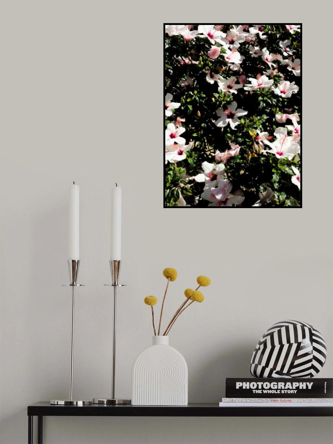 Hibiscus 02 Poster och Canvastavla