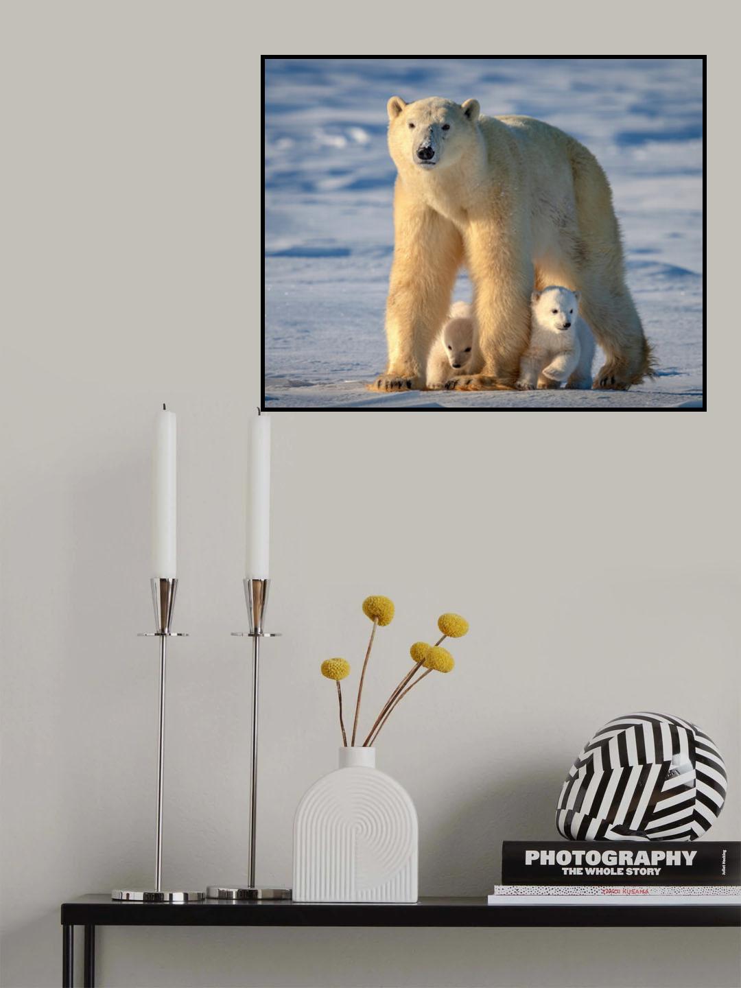 Protection Poster och Canvastavla