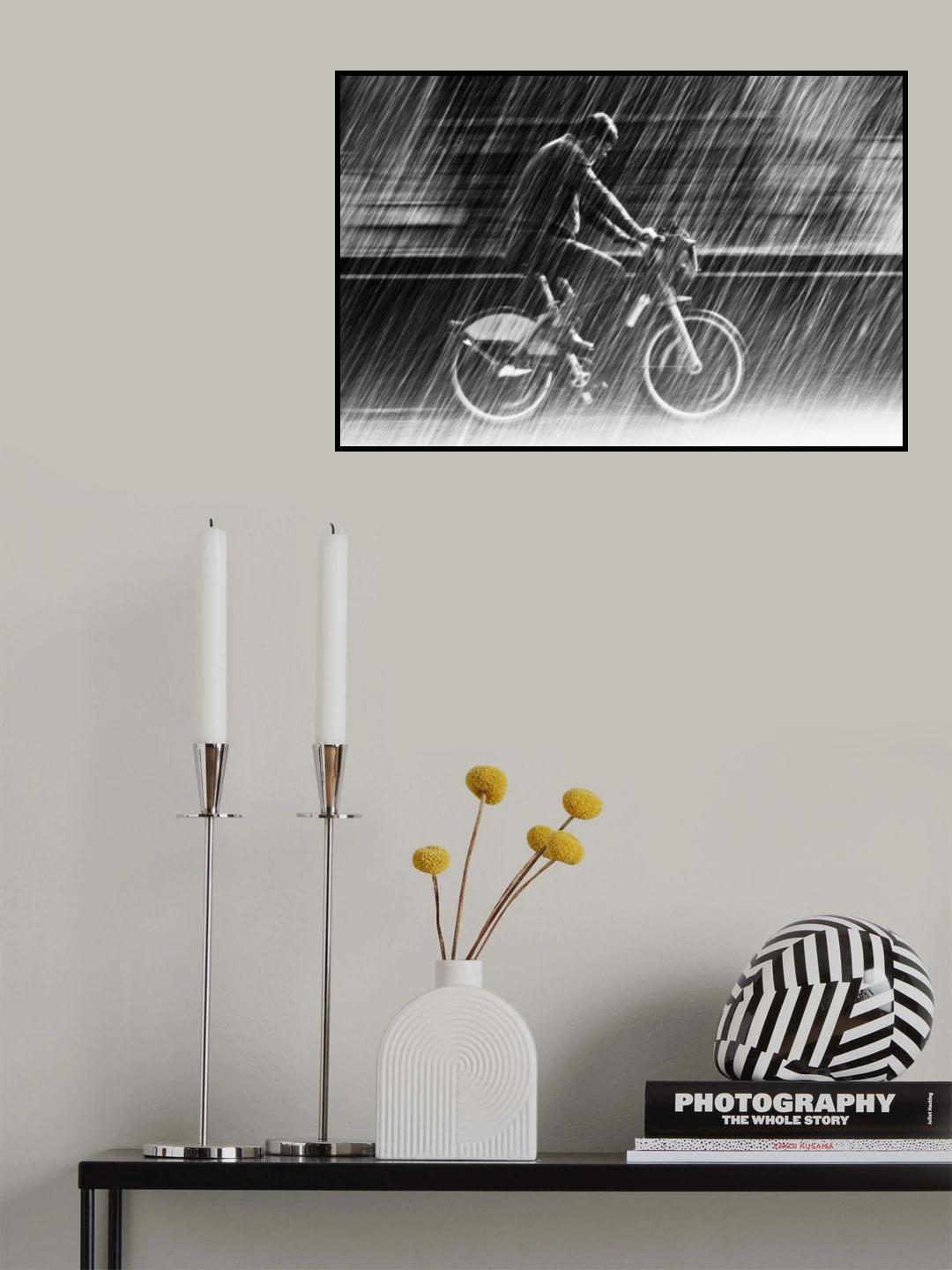 it's raining cats and dogs Poster och Canvastavla