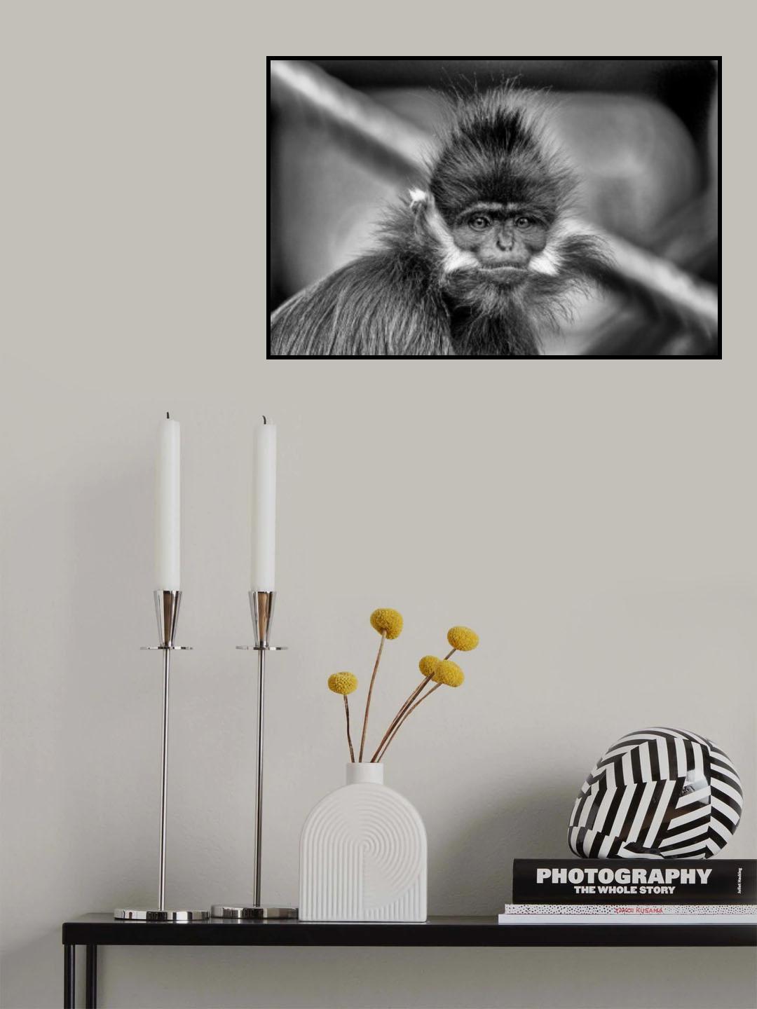 Punk Poster och Canvastavla